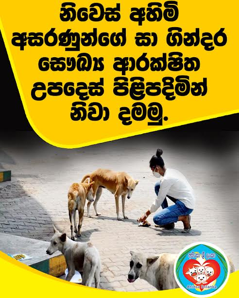 නිවෙස් අහිමි අසරණුන්ගේ සා ගින්දර