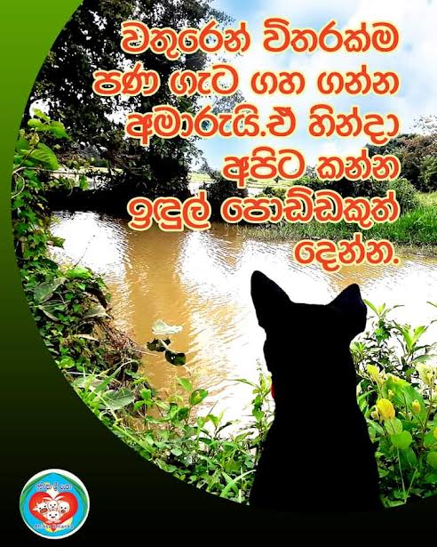 වතුරෙන්ම විතරක් පණ ගැටගහ ගන්න අමාරුයි