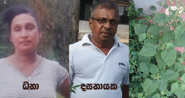 රජ රට පැත්තෙන් ඇහෙන”ලැජ්ජා හිතෙන”වශී ගුරු කමක්!