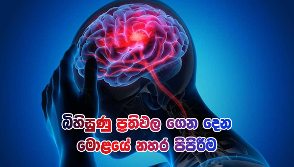 බිහිසුණු ප්‍රතිඵල ගෙන දෙන මොළයේ නහර පිපිරීම