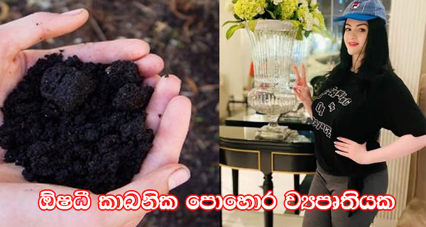 ඕෂධී කාබනික පොහොර ව්‍යපෘතියක