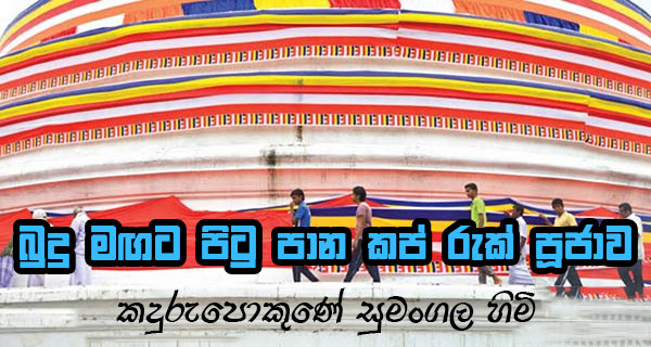 බුදු මඟට පිටු පාන කප් රුක් පූජාව