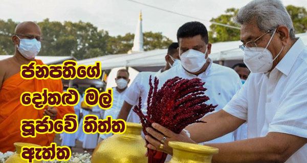 ජනපතිගේ දෝතළු මල් පූජාවේ තිත්ත ඇත්ත