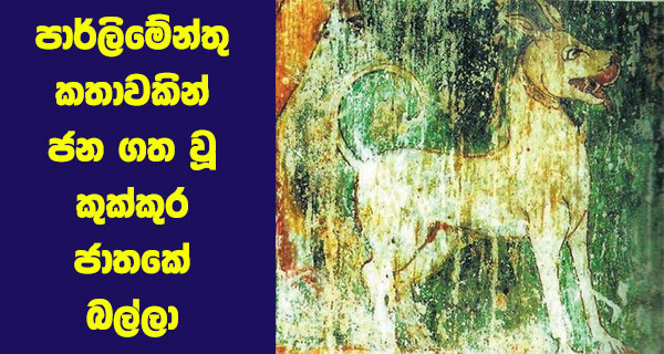 පාර්ලිමේන්තු කතාවකින් ජන ගත වූ කුක්කුර ජාතකේ බල්ලා