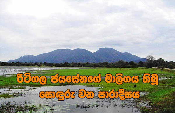 රිටිගල ජයසේනගේ මාලිගය තිබූ සොඳුරු වන පාරාදීසය