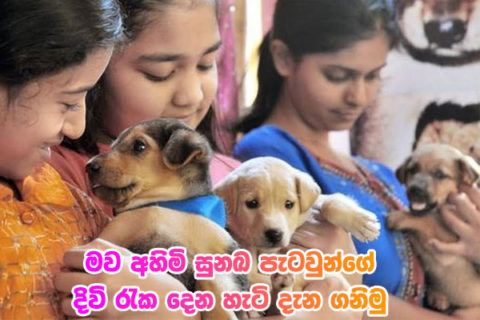add lanka