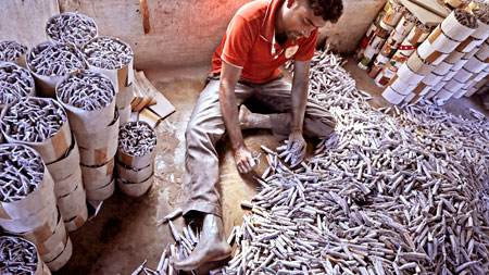 ගිනිකෙළි රතිඤ්ඤා අලෙවියේ පසුබෑමක්;කර්මාන්ත කරුවන් අනතුරේ