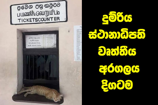 දුම්රිය ස්ථානාධිපති වෘත්තීය අරගලය දිගටම