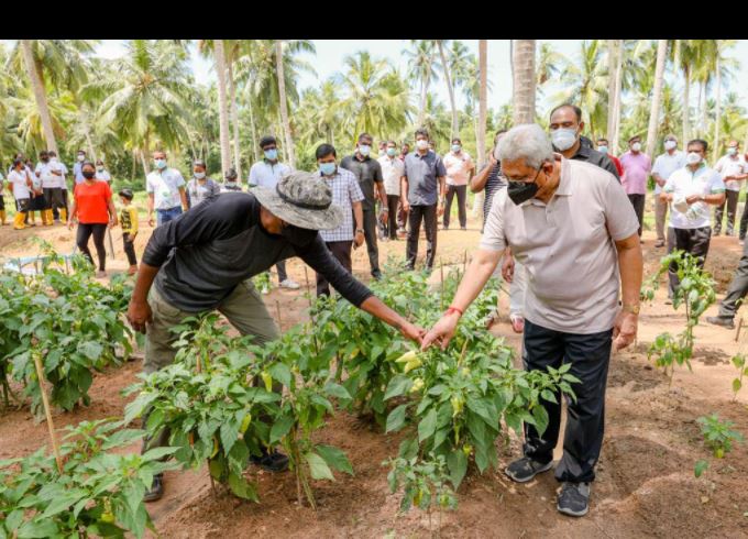 කාබනික ගොවි උපදෙස් වලටත් යුද හමුදාව