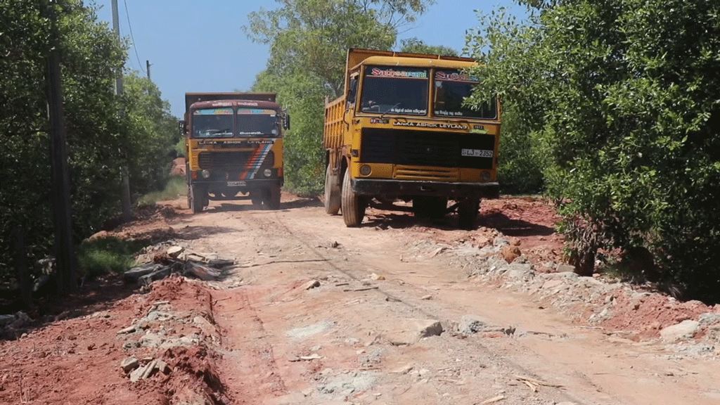 මීගමුවේ කඩොලාන විනාශයක්