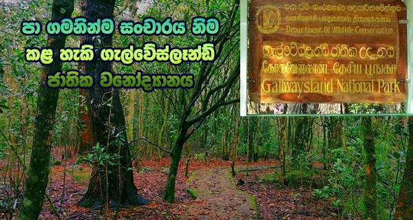 පා ගමනින්ම සංචාරය නිම කළ හැකි ගැල්වේස්ලෑන්ඩ් ජාතික වනෝද්‍යානය