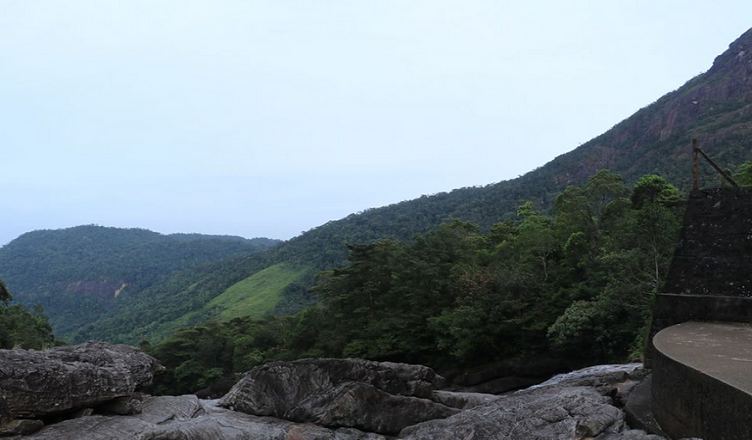 සිරි පා හිමයේ වර්ණගල වන පෙත පාරිසරික සංරක්ෂිත කලාපයක් ලෙස නම් කෙරෙයි