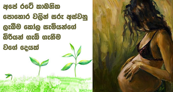අපේ රටේ කාබනික පොහොර වලින් සරු අස්වනු ලැබීම කෝල සැමියන්ගේ බිරියන් ගැබ් ගැනීම වගේ දෙයක්