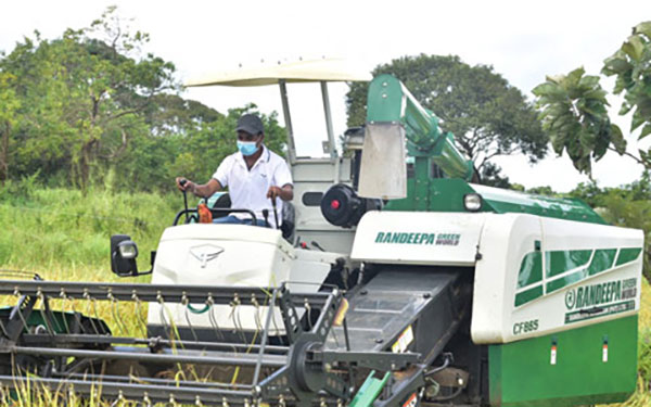 ගුවන් හමුදාව කුඹුරට බසියි