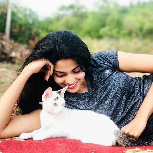 ඔබේ ගෙදර ඉන්න පූස් පැටියට අද විශේෂ දිනයක්