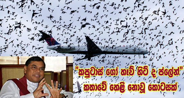 “කපුටාස් ගෝ හෑව් හිට් ද ප්ලේන්” කතාවේ හෙළි නොවූ කොටසක්