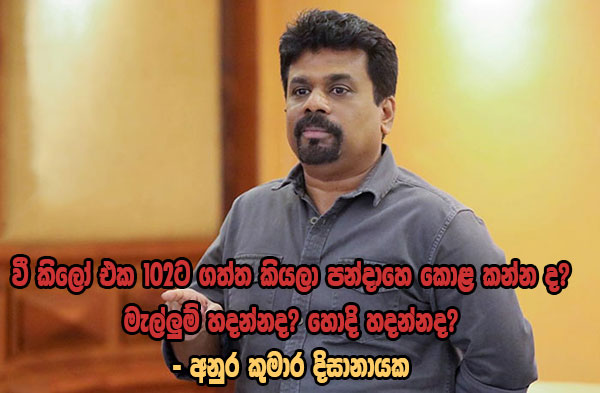 වී කිලෝ එක 102ට ගත්ත කියලා පන්දාහෙ කොළ කන්න ද? මැල්ලුම් හදන්නද? හොදි හදන්නද? -අනුර කුමාර දිසානායක