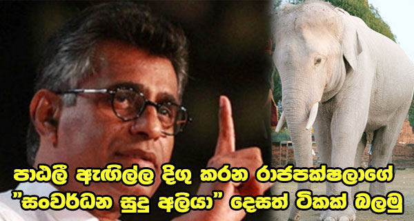 පාඨලී ඇඟිල්ල දිගු කරන රාජපක්ෂලාගේ “සංවර්ධන සුදු අලියා” දෙසත් ටිකක් බලමු