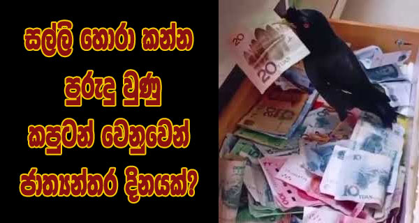 සල්ලි හොරා කන්න පුරුදු වුණු කපුටන් වෙනුවෙන් ජාත්‍යන්තර දිනයක්?