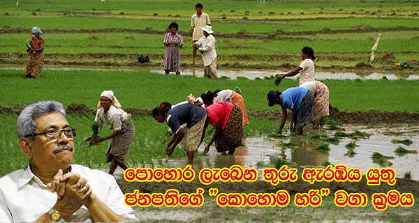 පොහොර ලැබෙන තුරු ඇරඹිය යුතු ජනපතිගේ “කොහොම හරි” වගා ක්‍රමය