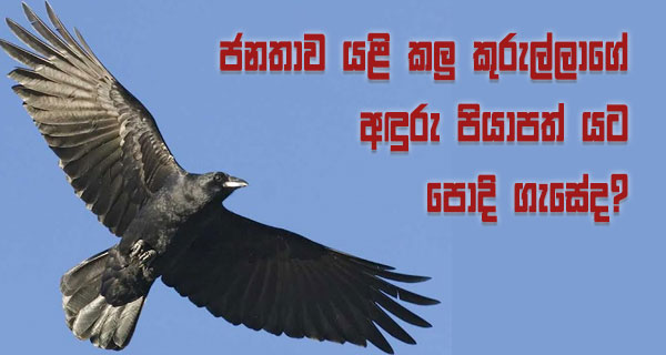 ජනතාව යළි කලු කුරුල්ලාගේ අඳුරු පියාපත් යට පොදි ගැසේද?