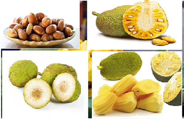 මන්ත්‍රීන්ටත් කොස්,දෙල්,අල, බතල දෙන්න කියයි