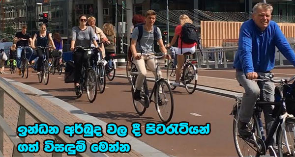 ඉන්ධන අර්බුද වල දී පිටරැටියන් ගත් විසඳුම් මෙන්න