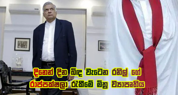 දිනෙන් දින බිඳ වැටෙන රනිල් ගේ රාජපක්ෂලා රැකීමේ මිත්‍ර ව්‍යාපෘතිය