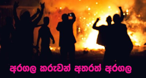 අරගල කරුවන් අතරත් අරගල