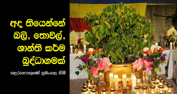 අද තියෙන්නේ බලි, තොවිල්, ශාන්ති කර්ම බුද්ධාගමක්