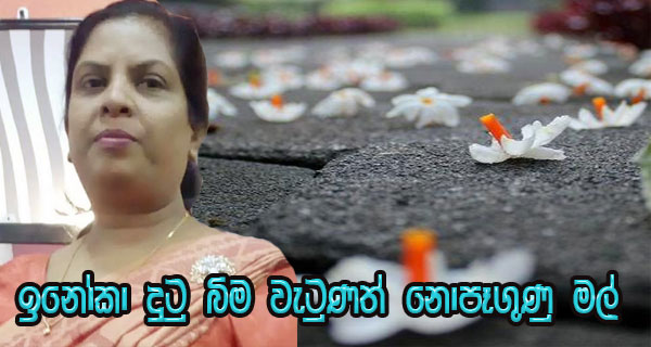 ඉනෝකා දුටු බිම වැටුණත් නොපෑගුණු මල්