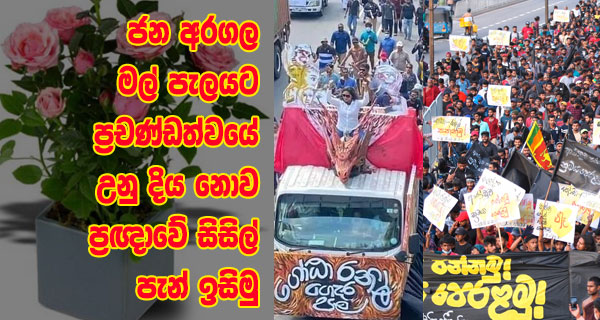 ජන අරගල මල් පැලයට ප්‍රචණ්ඩත්වයේ උනු පැන් නොව ප්‍රඥාවේ සිසිල් පැන් ඉසිමු