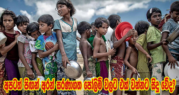 අපටත් පිඟන් අරන් සරණාගත පෝලිම් වලට එක් වන්නට සිදු වේද?