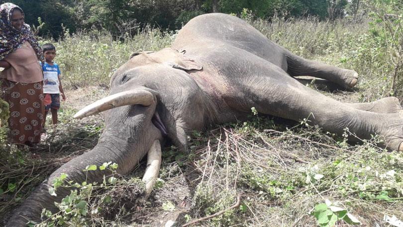 භරණ ඝාතනය කළ බවට සැක කෙරෙන පොලිස් කොස්තාපල් ගේ වැඩ තහනම්!