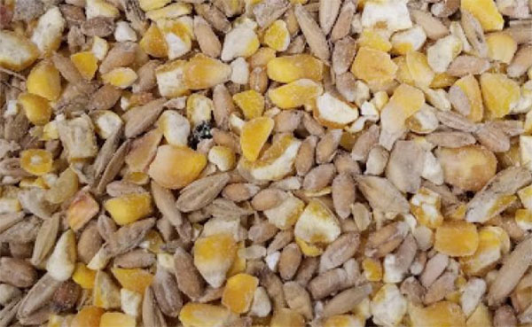 සත්ව ආහාර ආනයනයට සැලසුම්