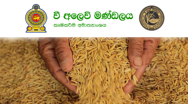 වී අලෙවි මණ්ඩලය වී මිලට ගන්නා මිල ගණන් ගැන මතභේද