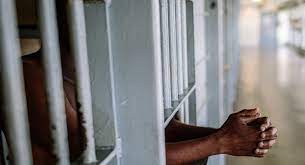 ජනපති නිවසින් මත්පැන් සොරකම් කළ අයෙක් රිමාන්ඩ්