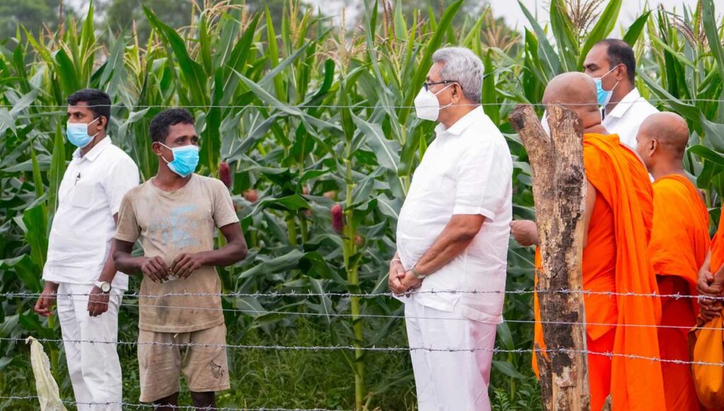 කුකුළු මස් බිත්තර මිල මේ තරම් ඉහළ නැඟ ඇත්තේ ගෝඨාගේ කාලයේ බඩ ඉරිඟු වගාව බිඳ වැටුණු නිසයි