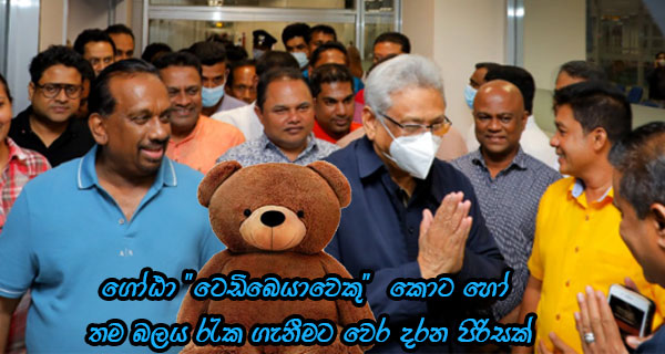 ගෝඨා “ටෙඩිබෙයාවෙකු” කොට හෝ තම බලය රැක ගැනීමට වෙර දරන පිරිසක්