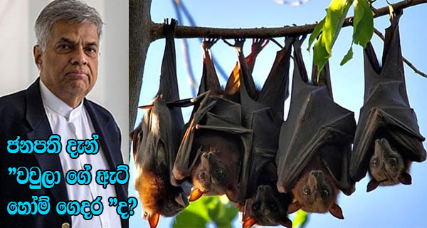 ජනපති දැන්”වවුලා ගේ ඇට් හෝම් ගෙදර “ද?