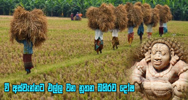 වී අස්වැන්නට එල්ල වන නූතන බහිරව දෝෂ