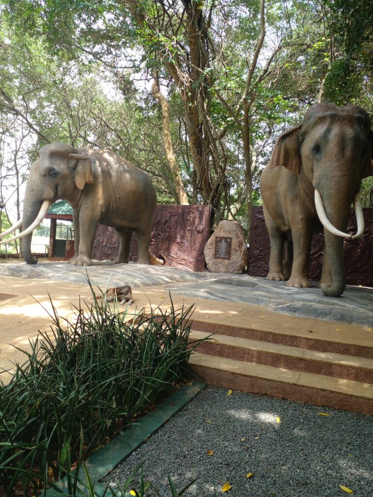 ශ්‍රී ලංකාවේ ප්‍රථම සත්ව අහිංසා ස්මාරක නිරාවරණය හෙට