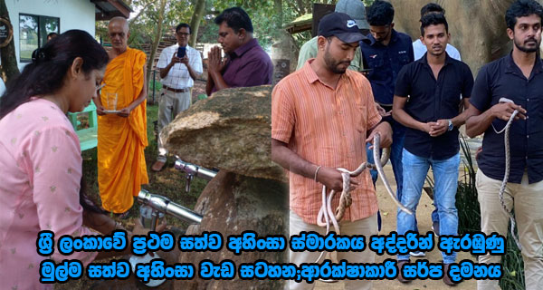 ශ්‍රී ලංකාවේ ප්‍රථම සත්ව අහිංසා ස්මාරකය අද්දරින් ඇරඹුණු මුල්ම සත්ව අහිංසා වැඩ සටහන;ආරක්ෂාකාරී සර්ප දමනය