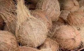 පොල් මිල යළි ඉහළට