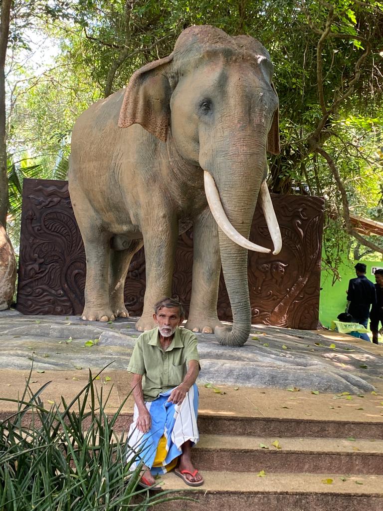 සෙනරත්ගම “විජේරත්න මාමා” කළුරිය කරයි