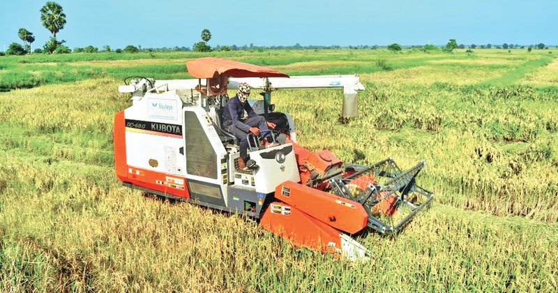 ගොවීන්ට ඩීසල් බෙදීම අද සිට