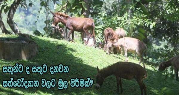 sathun