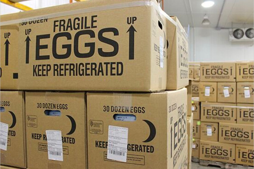 බිත්තර ප්‍රමාදය ගැන සොයන්න නිලධාරියෙක් ඉන්දියාවට