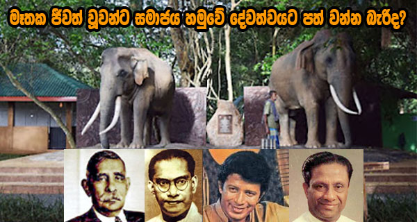 මෑතක ජීවත් වූවන්ට සමාජය හමුවේ දේවත්වයට පත් වන්න බැරිද?