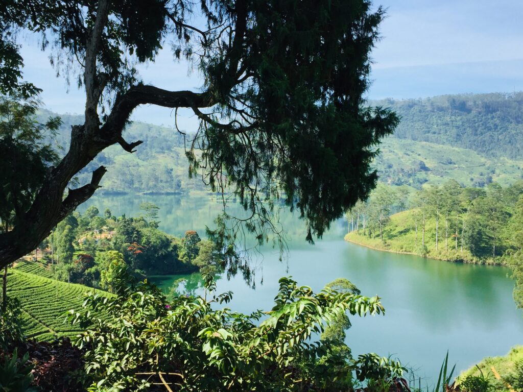 කාසල්රි සහ මාඋස්සාකැලේ ජල මට්ටම ඉහළට